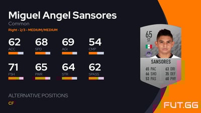 Miguel Angel Sansores