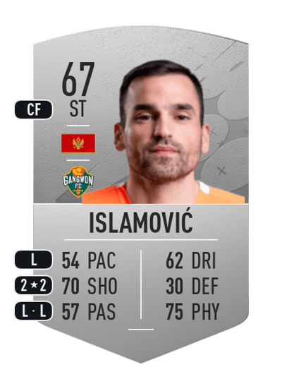 Dino Islamović Common 67 OVR
