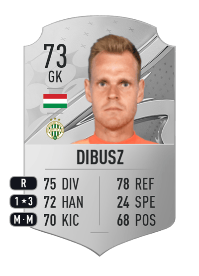 Dénes Dibusz Rare 73 OVR