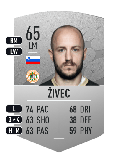 Saša Živec Common 65 OVR