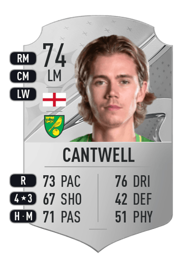 Todd Cantwell Rare 74 OVR