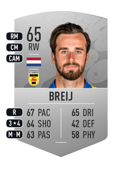 Michael Breij Common 65 OVR