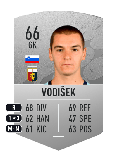 Rok Vodišek Common 66 OVR