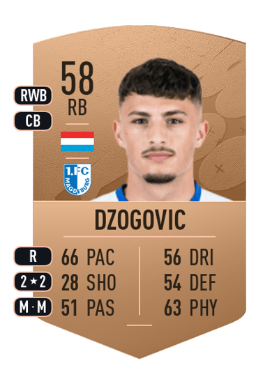 Eldin Dzogovic Common 58 OVR