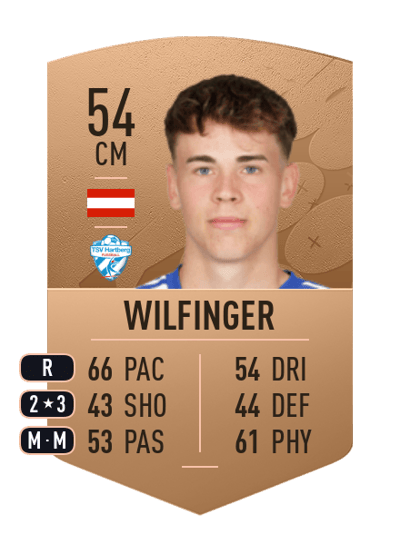 Fabian Wilfinger Common 54 OVR