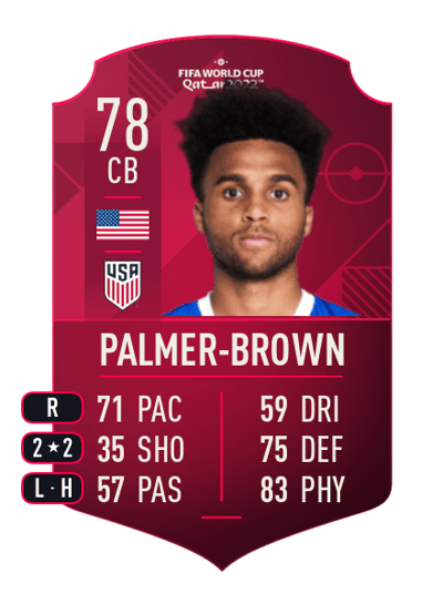 Erik Palmer-Brown World Cup Player 78 OVR