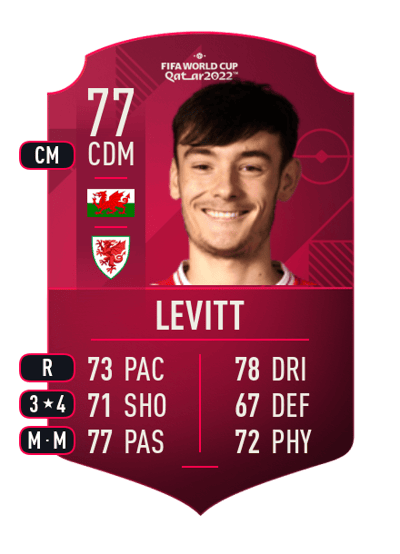 Dylan Levitt World Cup Player 77 OVR