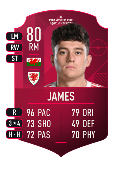 Daniel James World Cup Player 80 OVR