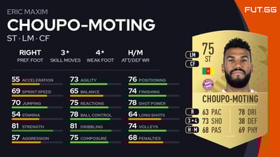 Eric Maxim Choupo-Moting