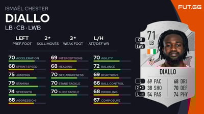 Ismaël Chester Diallo