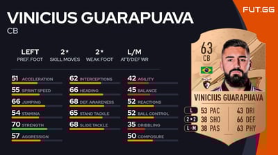 Vinicius Guarapuava