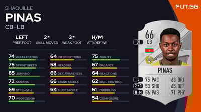 Shaquille Pinas