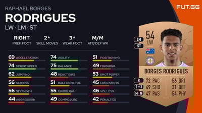 Raphael Borges Rodrigues