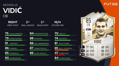 Nemanja Vidić