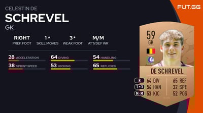 Celestin De Schrevel