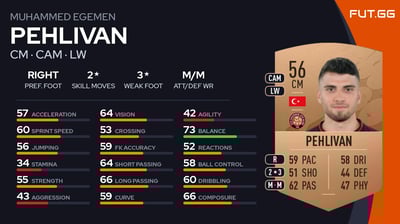 Muhammed Egemen Pehlivan