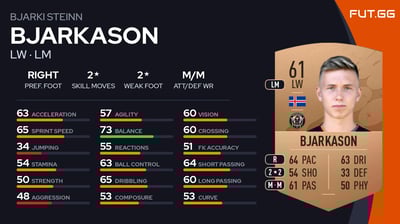 Bjarki Steinn Bjarkason