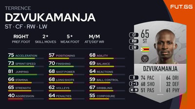 Terrence Dzvukamanja