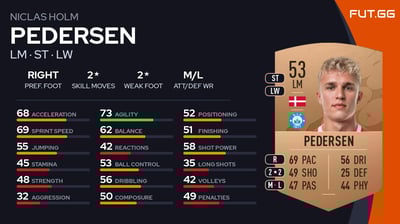 Niclas Holm Pedersen