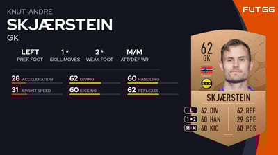 Knut-André Skjærstein