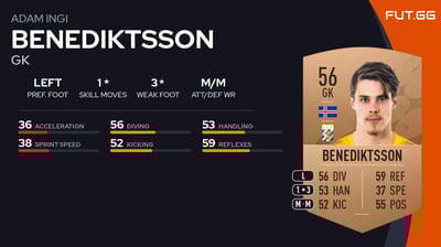 Adam Ingi Benediktsson