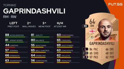 Tornike Gaprindashvili