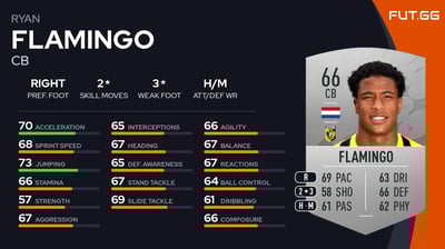 Ryan Flamingo