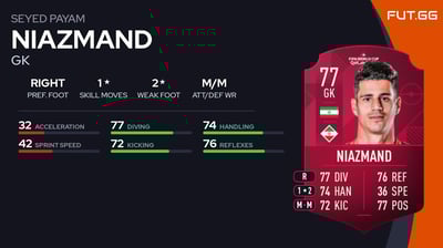 Seyed Payam Niazmand