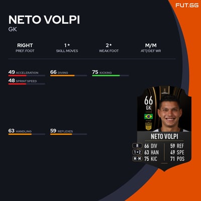 Neto Volpi
