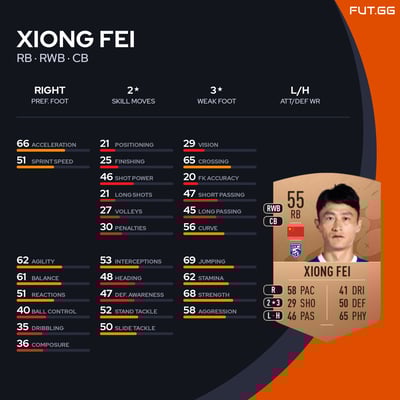 Xiong Fei