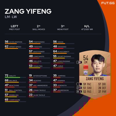 Zang Yifeng
