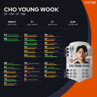 Cho Young Wook