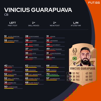 Vinicius Guarapuava