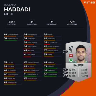 Oussama Haddadi