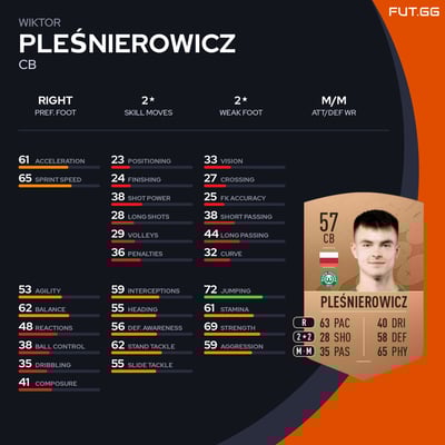 Wiktor Pleśnierowicz