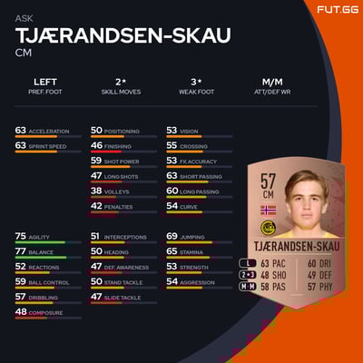 Ask Tjærandsen-Skau