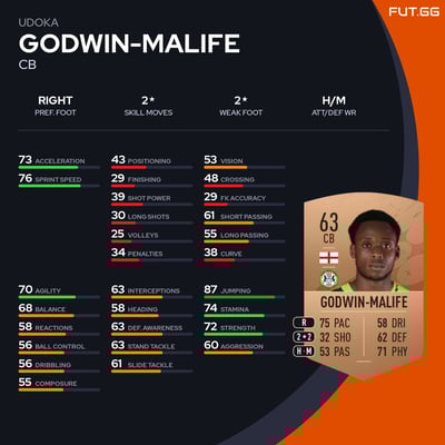 Udoka Godwin-Malife