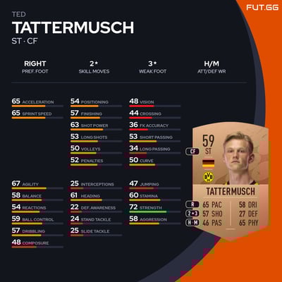 Ted Tattermusch