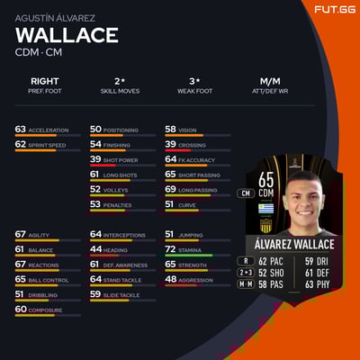 Agustín Álvarez Wallace