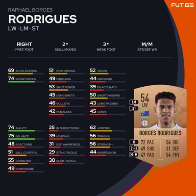 Raphael Borges Rodrigues