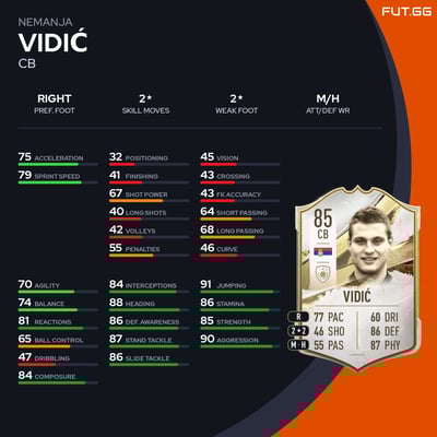 Nemanja Vidić