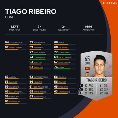 Tiago Ribeiro