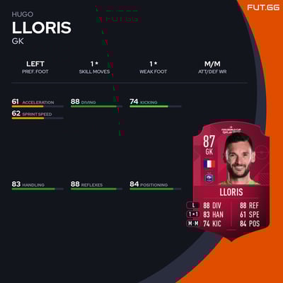 Hugo Lloris