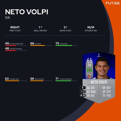 Neto Volpi