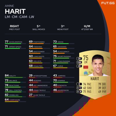 Amine Harit
