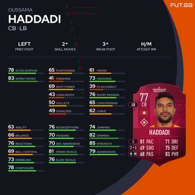 Oussama Haddadi