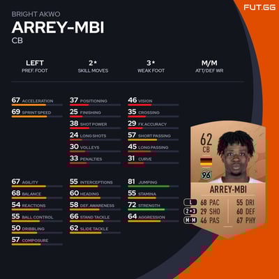 Bright Akwo Arrey-Mbi