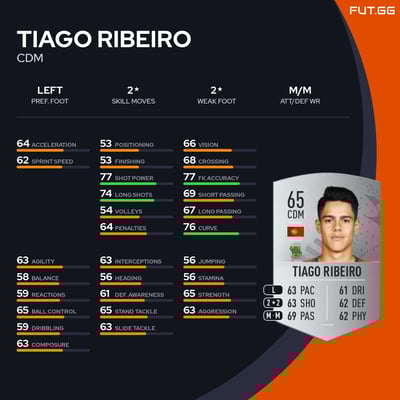 Tiago Ribeiro