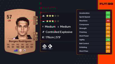 Raphael Borges Rodrigues