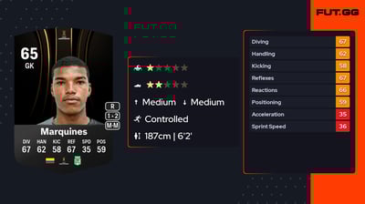 Luis Miguel Marquines